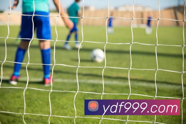 壹定发官网平台生态图